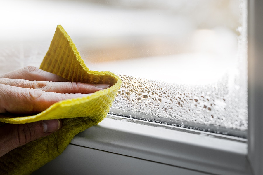 Tips for Preventing Mold in Your Home (Part 1)